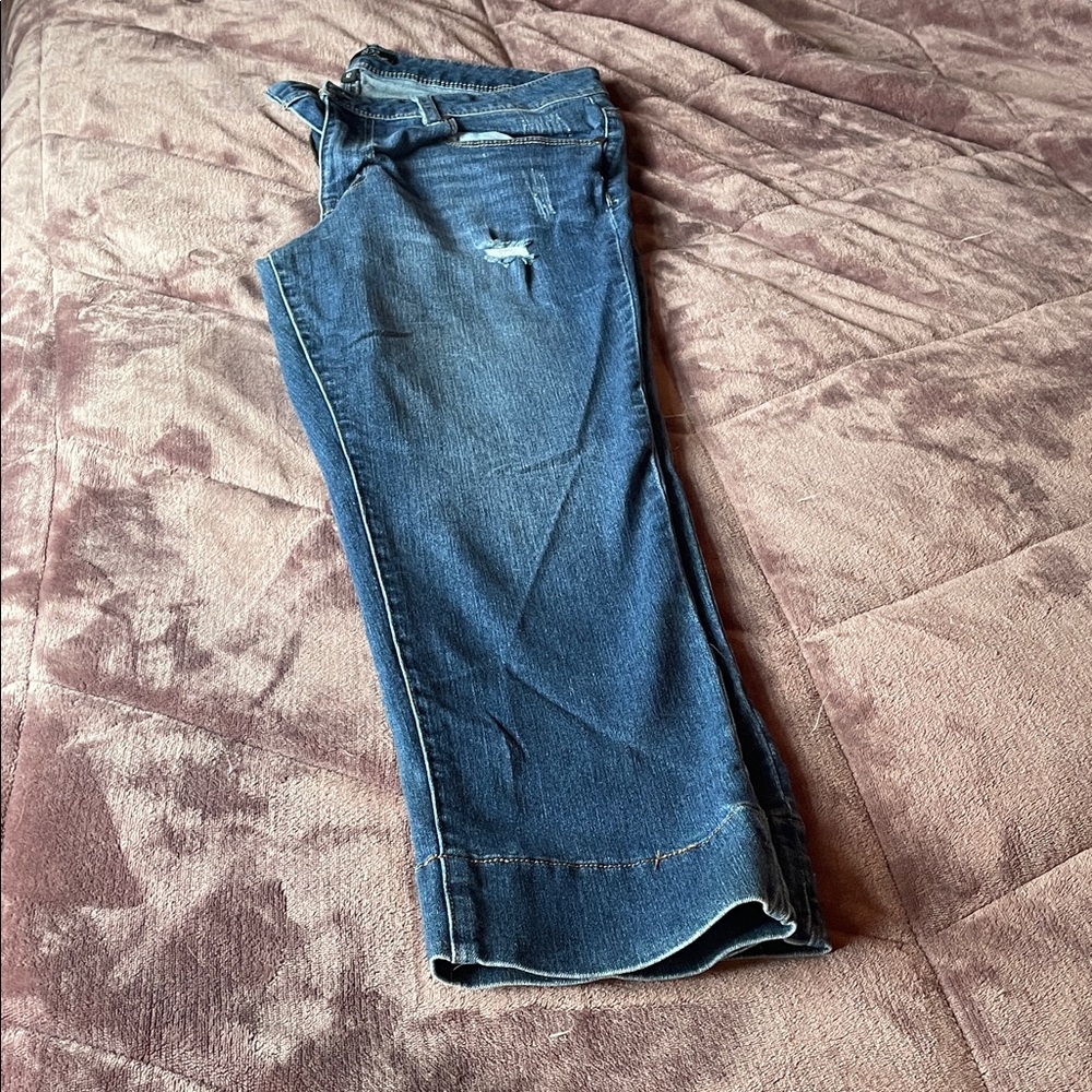 1822 Denim Women's Blue Ankle & Cropped Jeans
